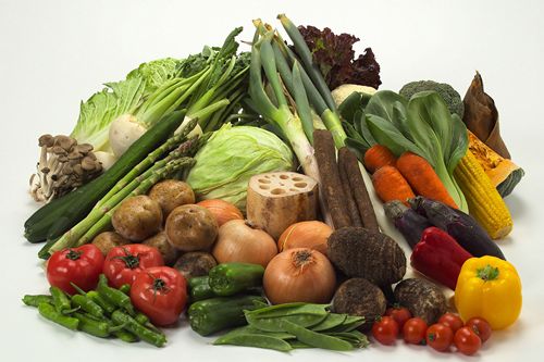  - 野菜の保存方法（冷蔵保存/冷凍保存）