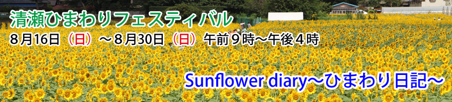 Sunflower diary～ひまわり日記～（2015年7月14日） - 清瀬市