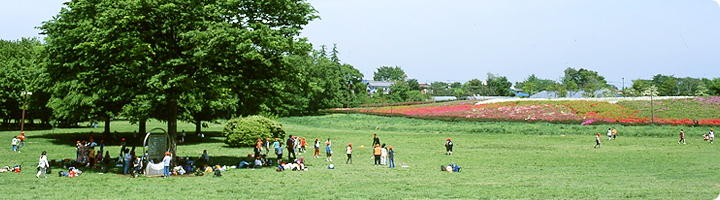 小金井公園｜公園へ行こう！