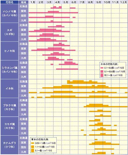 開花時期