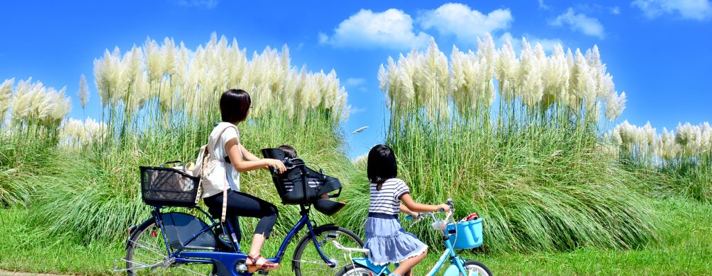 国営ひたち海浜公園 | 海と空と緑がともだち。ひたち海浜公園は、茨城県ひたちなか市にある国営公園です。