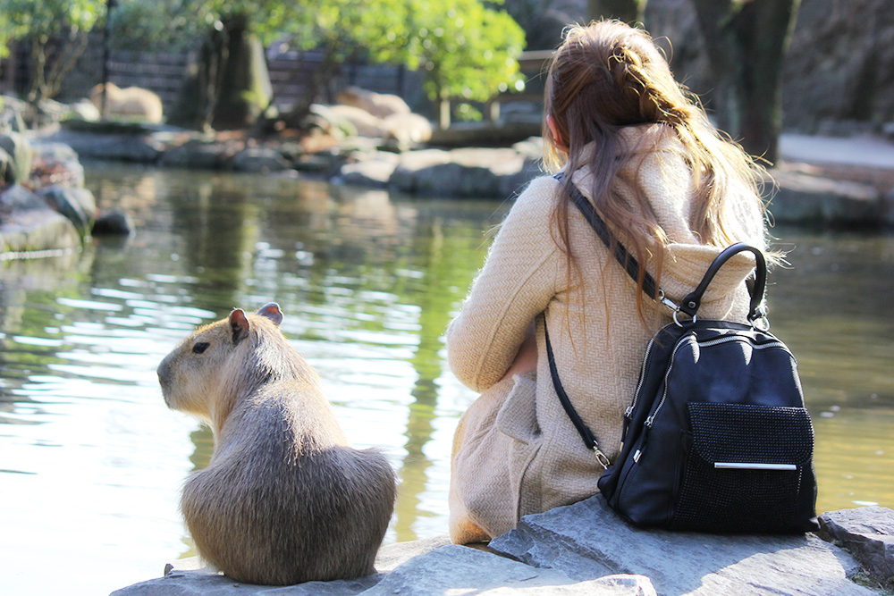 長崎バイオパーク - ZOOっと近くにふれあえる九州の動物園&植物園