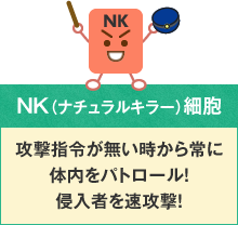 免疫力向上のカギ「NK細胞」 | 免疫力向上委員会