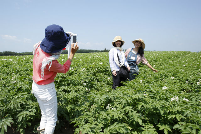 【北海道・農業体験】ランチ付き！北海道名産、じゃがいもを知る|日本最大の体験・遊び予約サイトasoview! 