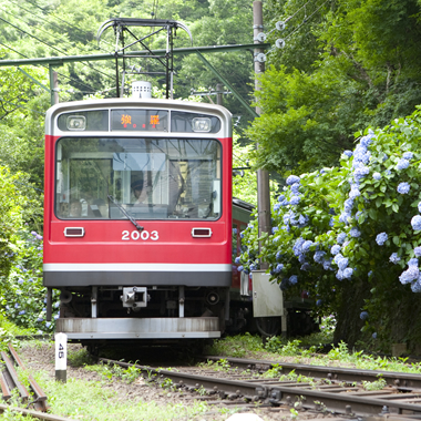 箱根登山電車　箱根登山ケーブルカー