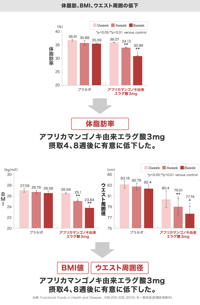 体脂肪・BMI・ウエスト